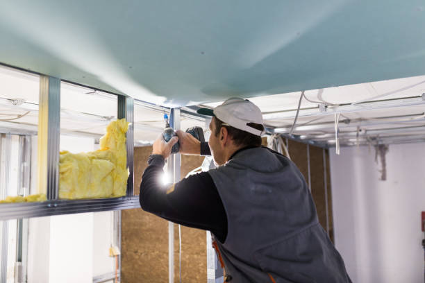 Best Insulation for Specific Applications in Hden Springs, ID